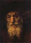 REMBRANDT Harmenszoon van Rijn Portrait of an Old Jew oil painting reproduction